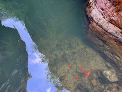 -湖洞水自然风景区