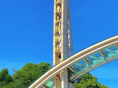 -南山植物园