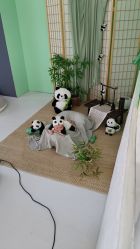 点击看大图 -Baby Pastel 自然光儿童摄影(CBD店)
