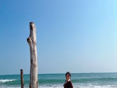 -西涌国际滨海旅游区