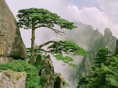 -黄山风景区