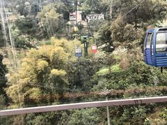 -洪霞餐馆