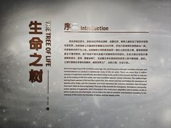 -四川大学博物馆