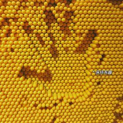 -幻贝家儿童乐园(苏州中心店)