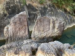 -广州白江湖森林公园