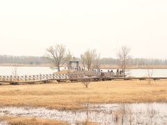 -野鸭湖国家湿地公园