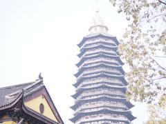 -红梅公园
