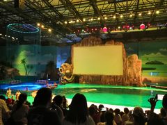 -华夏文旅海洋公园