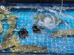 -醉壹号海鲜大排档·老厦门特色菜(厦门美食地标店)