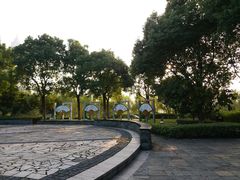 -桐乡植物园