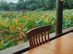 -铭莲·八卦田水上餐厅