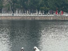 -西北湖绿化广场