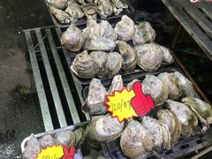 -蚝专家(北滘店)