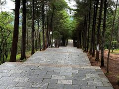-巍山古城