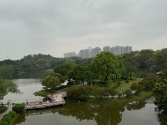 -东莞植物园