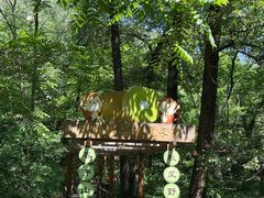 -大岭沟猕猴桃谷风景区