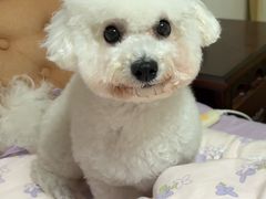 -它主义宠物(梁溪万达店)