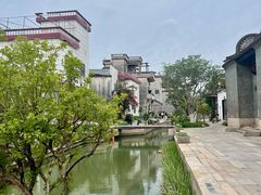 -碧江金楼