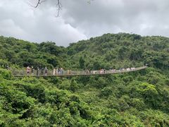 -亚龙湾热带天堂森林公园