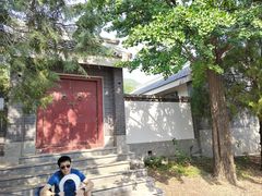 -阳台山自然风景区