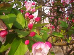 -永定河休闲森林公园