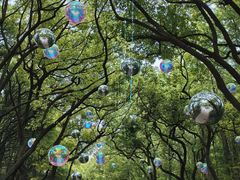 -上海共青森林公园