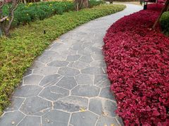 -上海市龙华烈士陵园