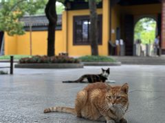 -西园戒幢律寺