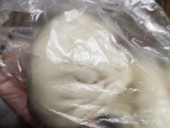 大肉包-白玉兰食品(甜云店)