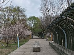 -长白岛森林公园