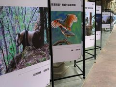 -西安电影制片厂