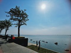 -滆湖低碳生态公园