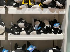 -上海海昌海洋公园