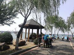 -丁香湖公园