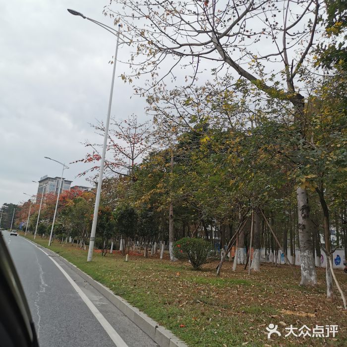 松山湖南湖湾露营营地图片