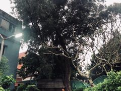 门面-和记菜馆
