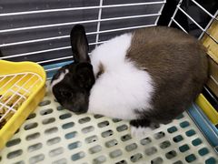 -UltraForce超源健身私教工作室(长楹天街精品店)