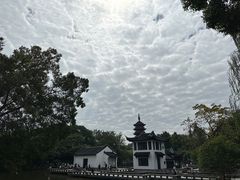 -红梅公园