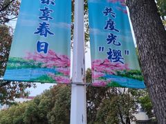 -高东镇樱花园