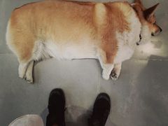 -阿木舂记·特色小吃(平江路店)