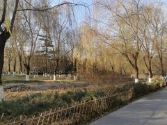 -丰台科技园生态主题公园
