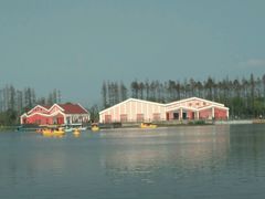 -上海长兴岛郊野公园