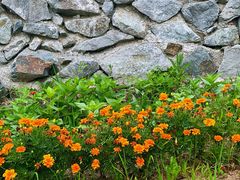 -长白山万达国际度假区