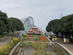 -南山植物园