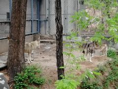 -石家庄市动物园