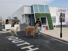 -Blue Concept Cafe&Farm·關於藍