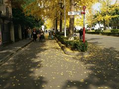 -四川大学(望江校区)