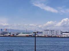 -大阪海游馆