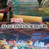 90元去带有白马的游乐园玩吧