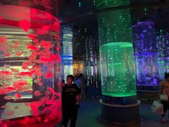 -石家庄海洋公园